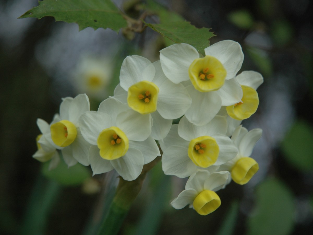 The garden, a sensory&nbsp;experience