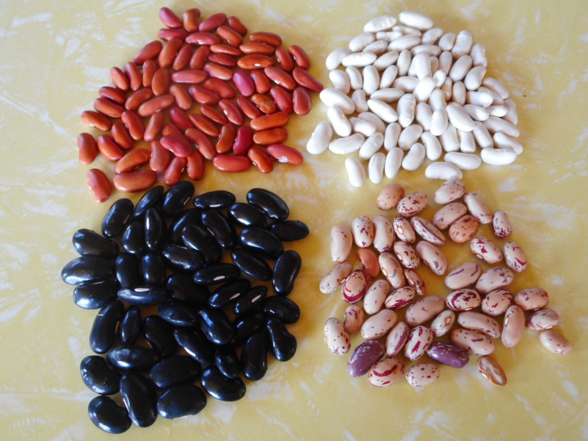 Growing strong seedlings