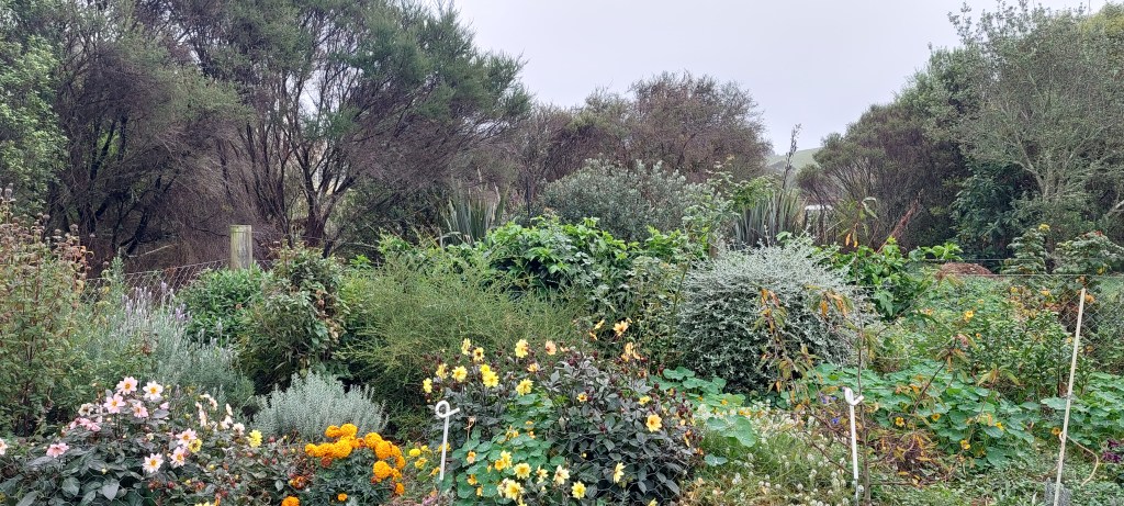 A diverse garden landscape featuring vibrant flowers, greenery, and various plants, surrounded by trees and a cloudy sky.