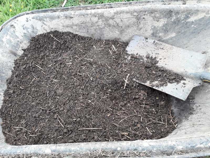The magic of&nbsp;compost