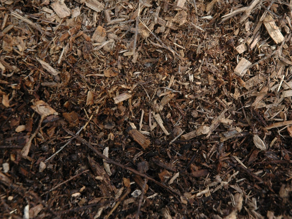 Woodchip to build&nbsp;fertility